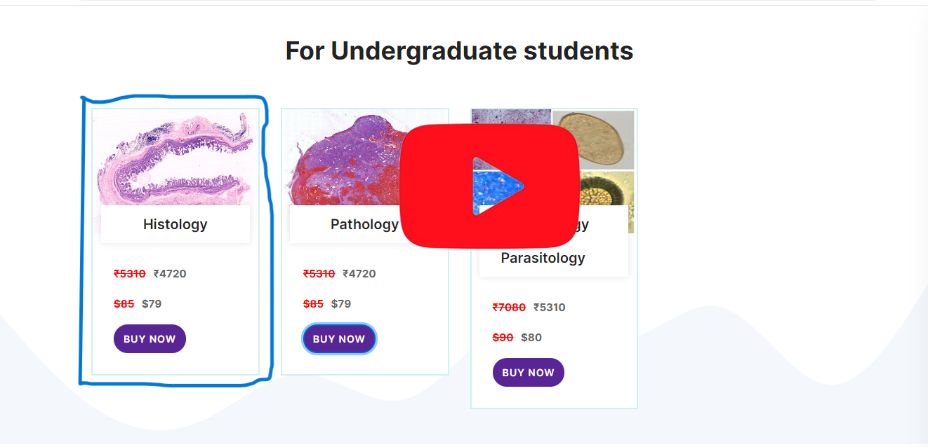 Watch Human Anatomy & Histology Digital Slides Set